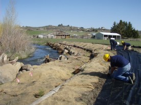 Restoration work on Cowiche Creek